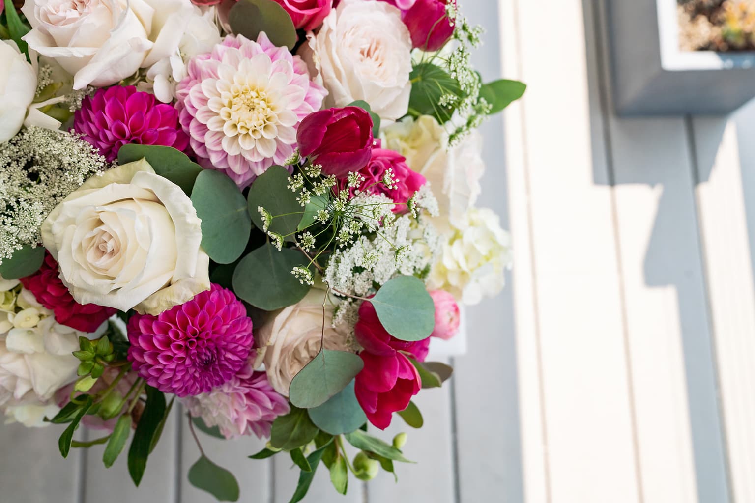 Elope in Marin County California