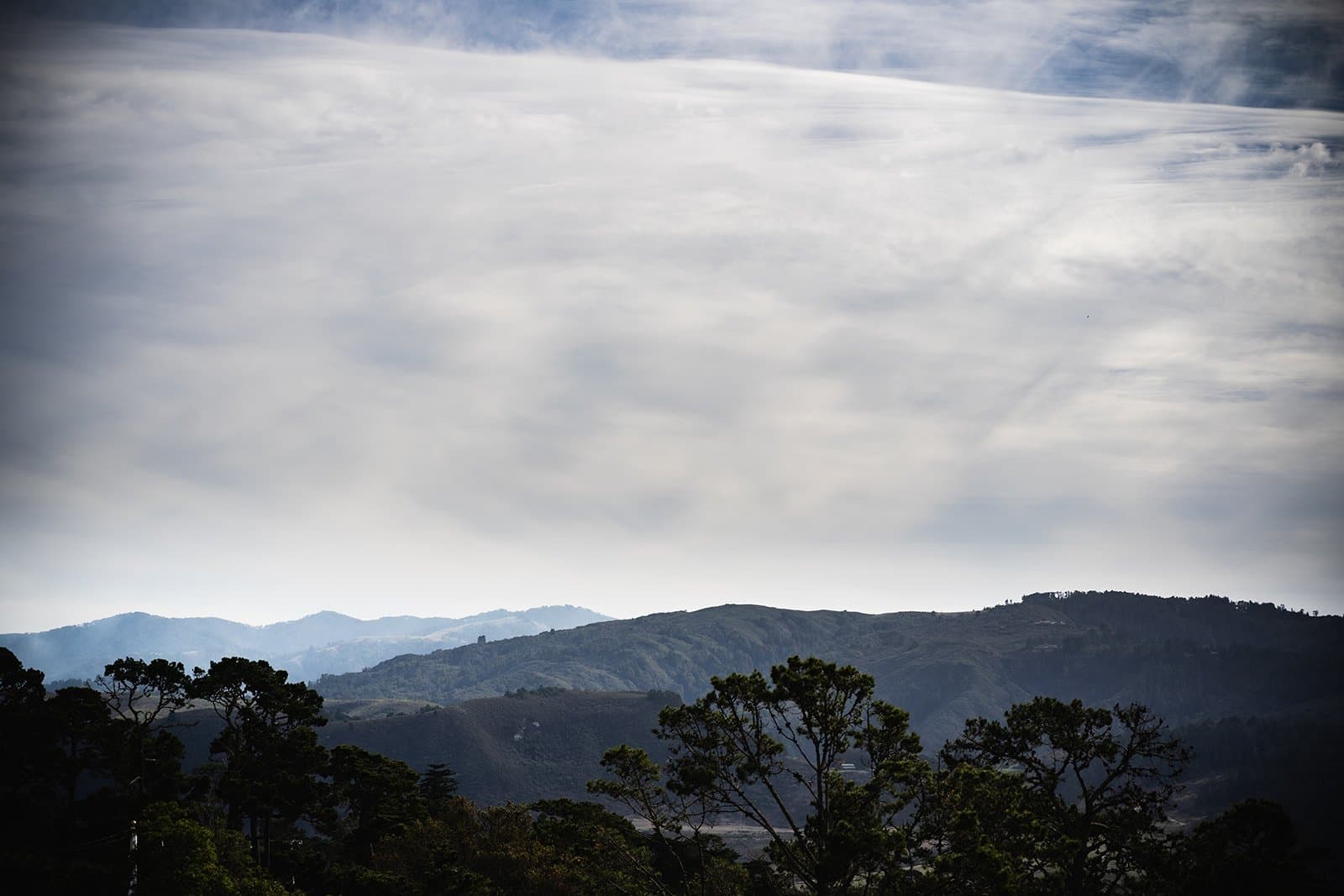 Venues, micro wedding vendor in Central Coast