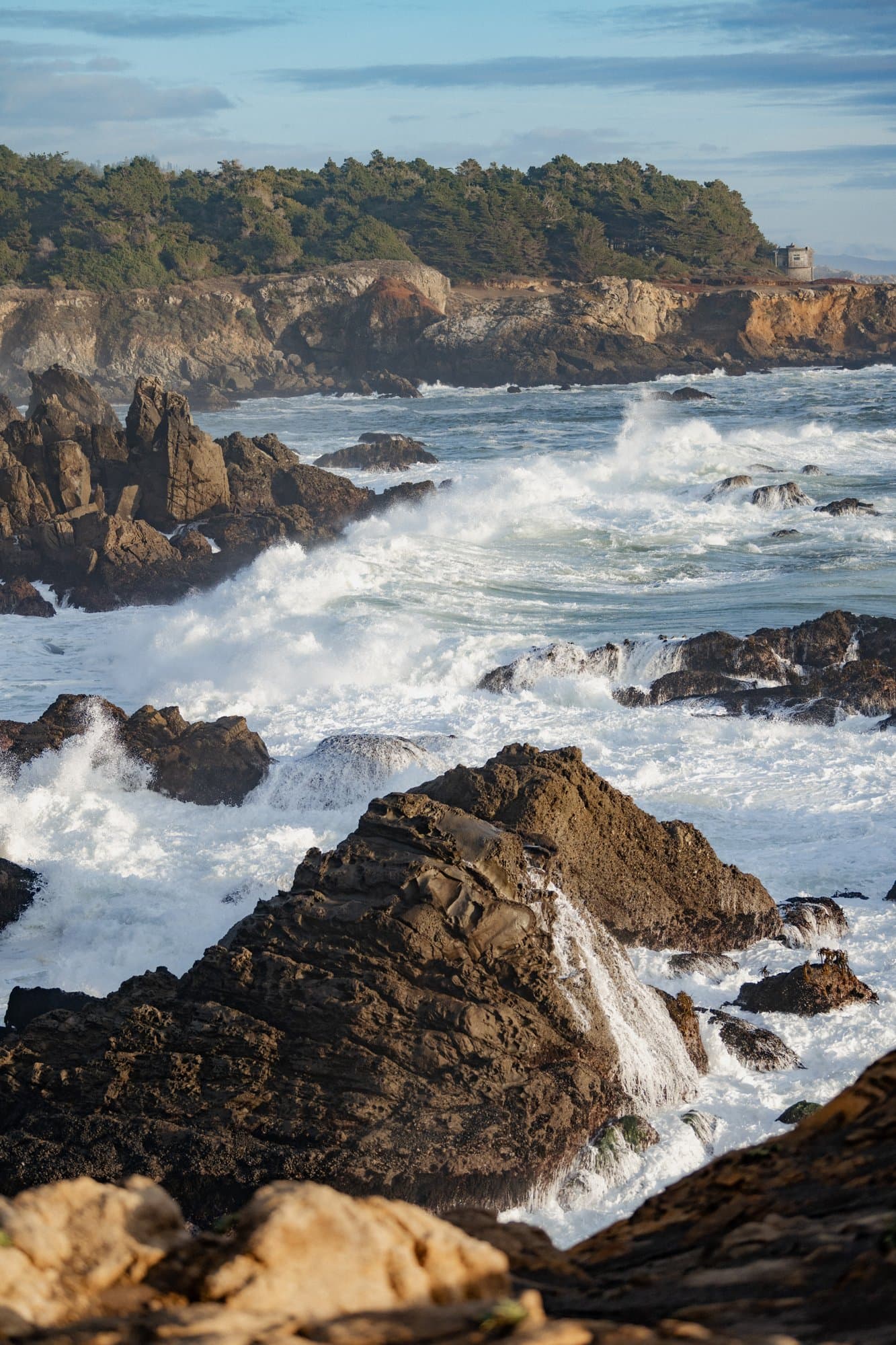 Venues, micro wedding vendor in California