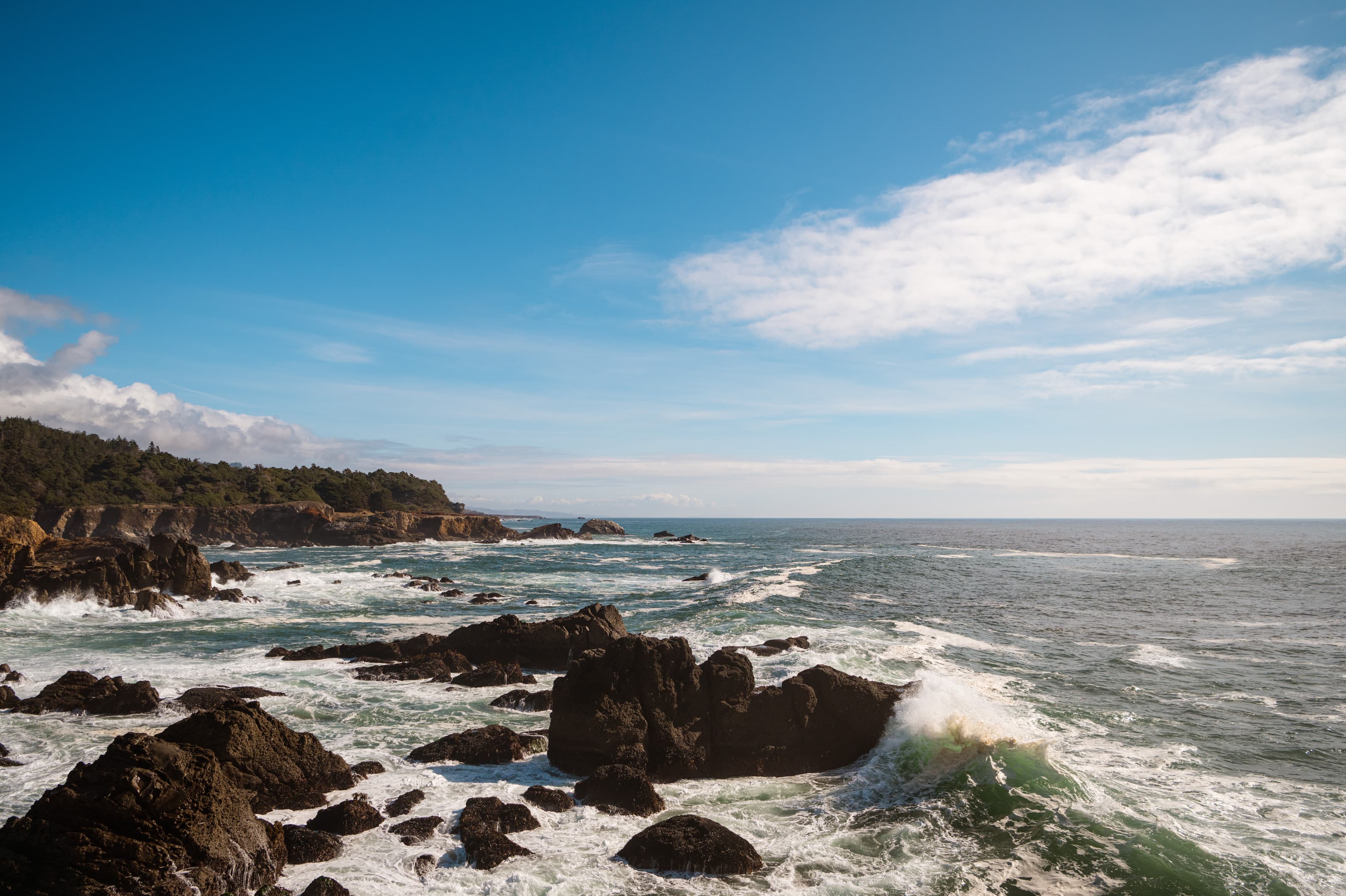Tomales micro wedding, intimate ceremony in Tomales, California