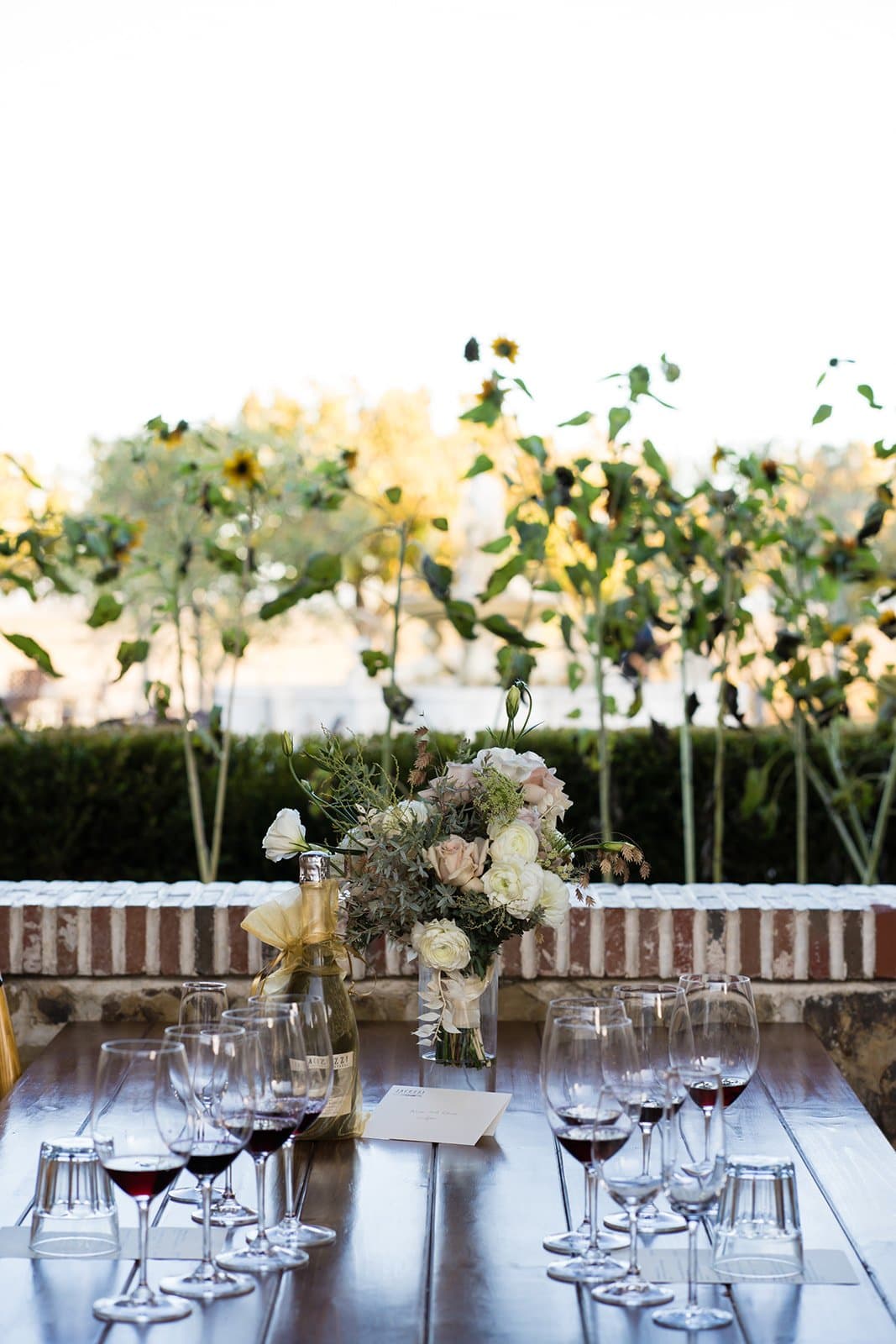 Santa Rosa micro wedding photo 3