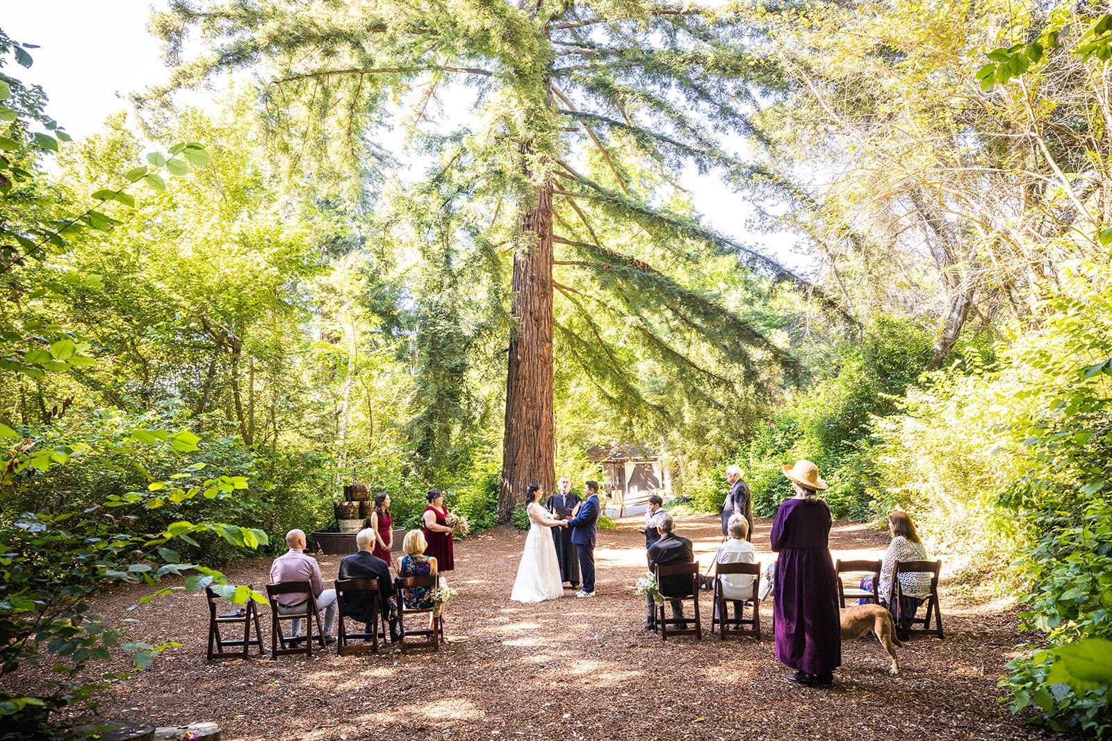 Alison & Doug, a real Santa Cruz micro wedding