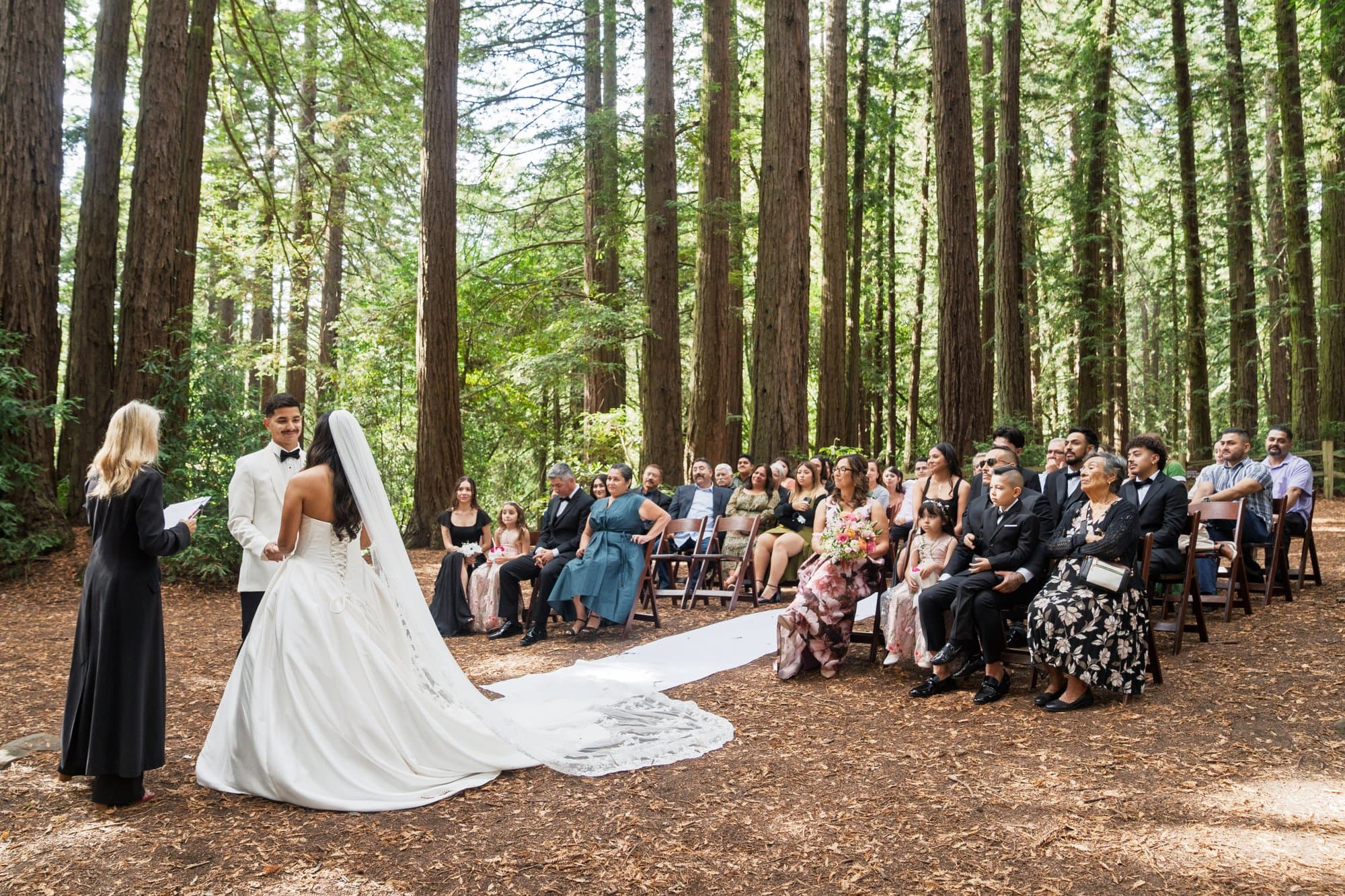 redwoods park ceremony + sf waterfront steak dinner, Carolina & Ethan at Roberts Regional Park - Madrone Area or Roberts Grove