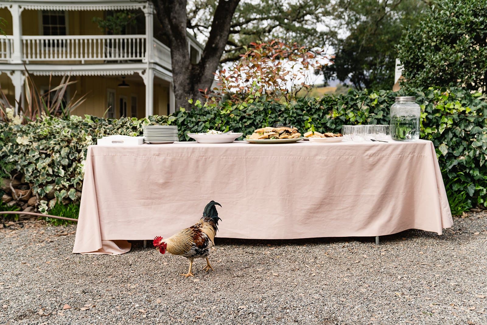 A real micro wedding dinner by Our Little Wedding