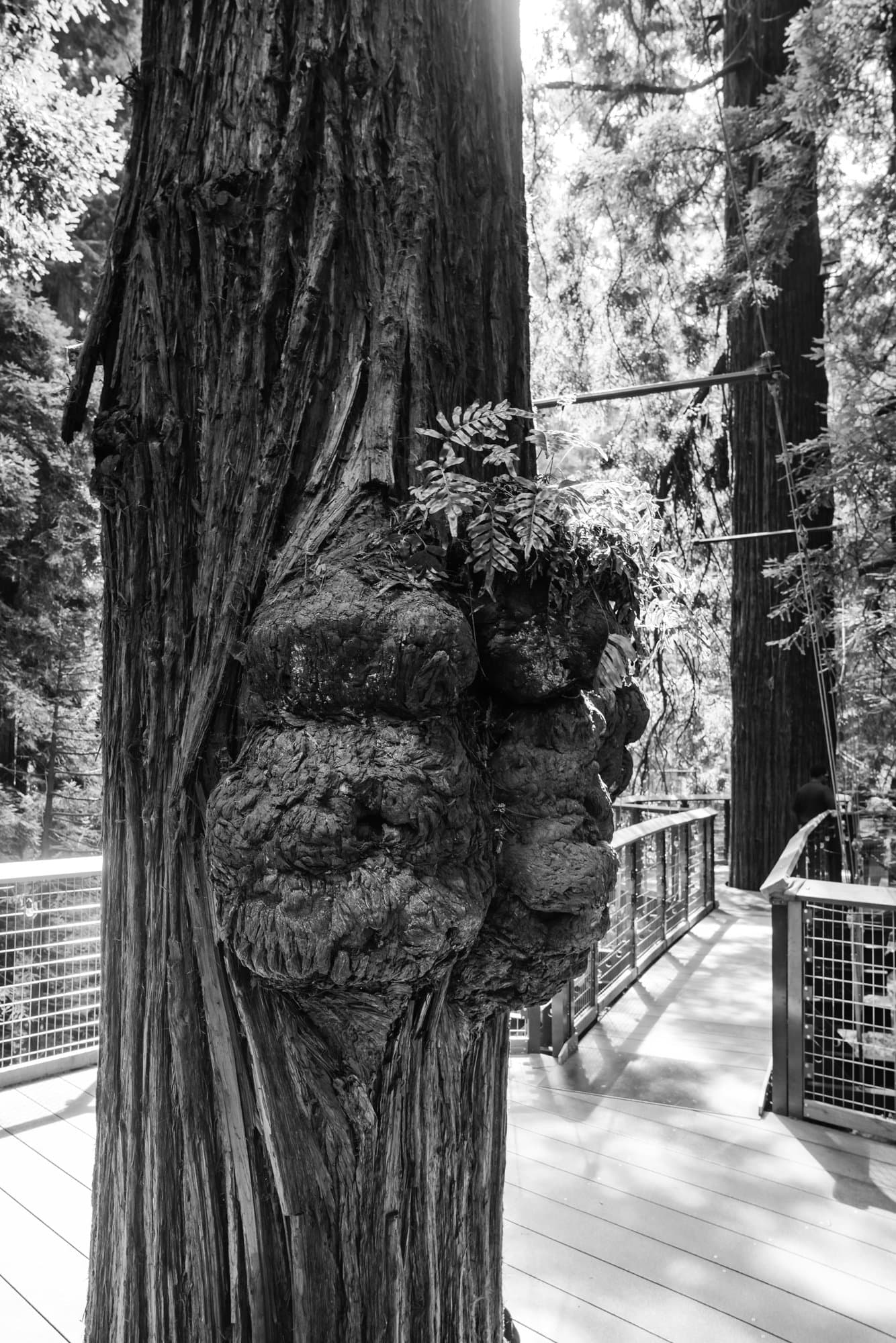 Photographers, micro wedding vendor in California