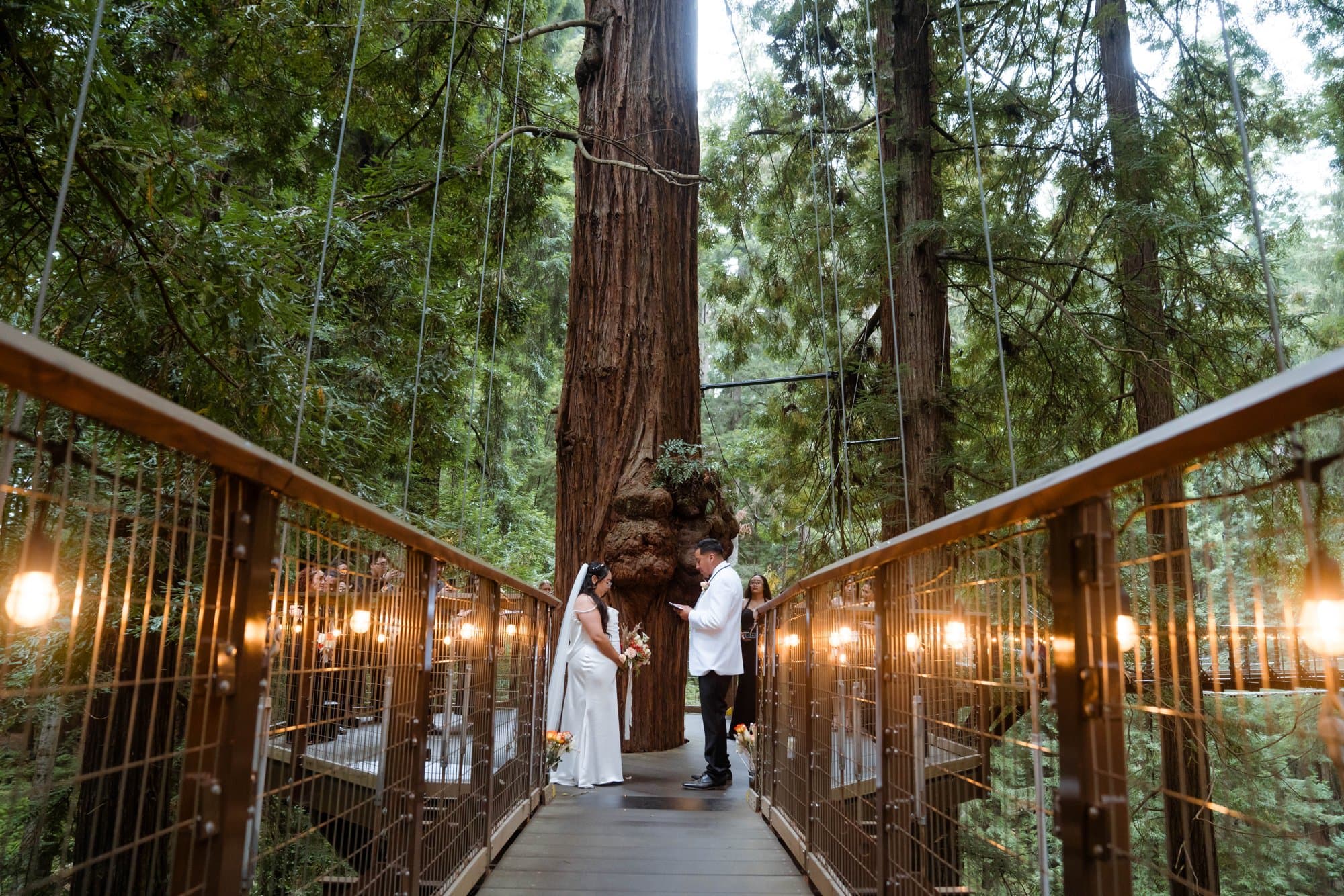 same-sex redwoods elopement at sequoia park zoo skywalk, Dalya & Alejandro at Redwoods Sky Walk at Sequiao Park Zo