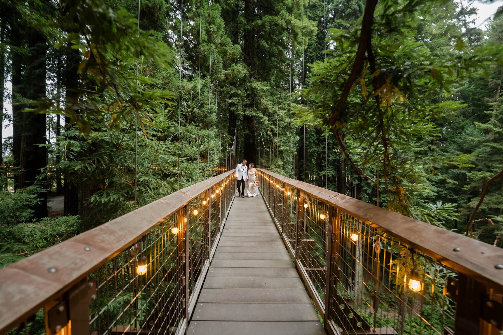 Venues, micro wedding vendor in California