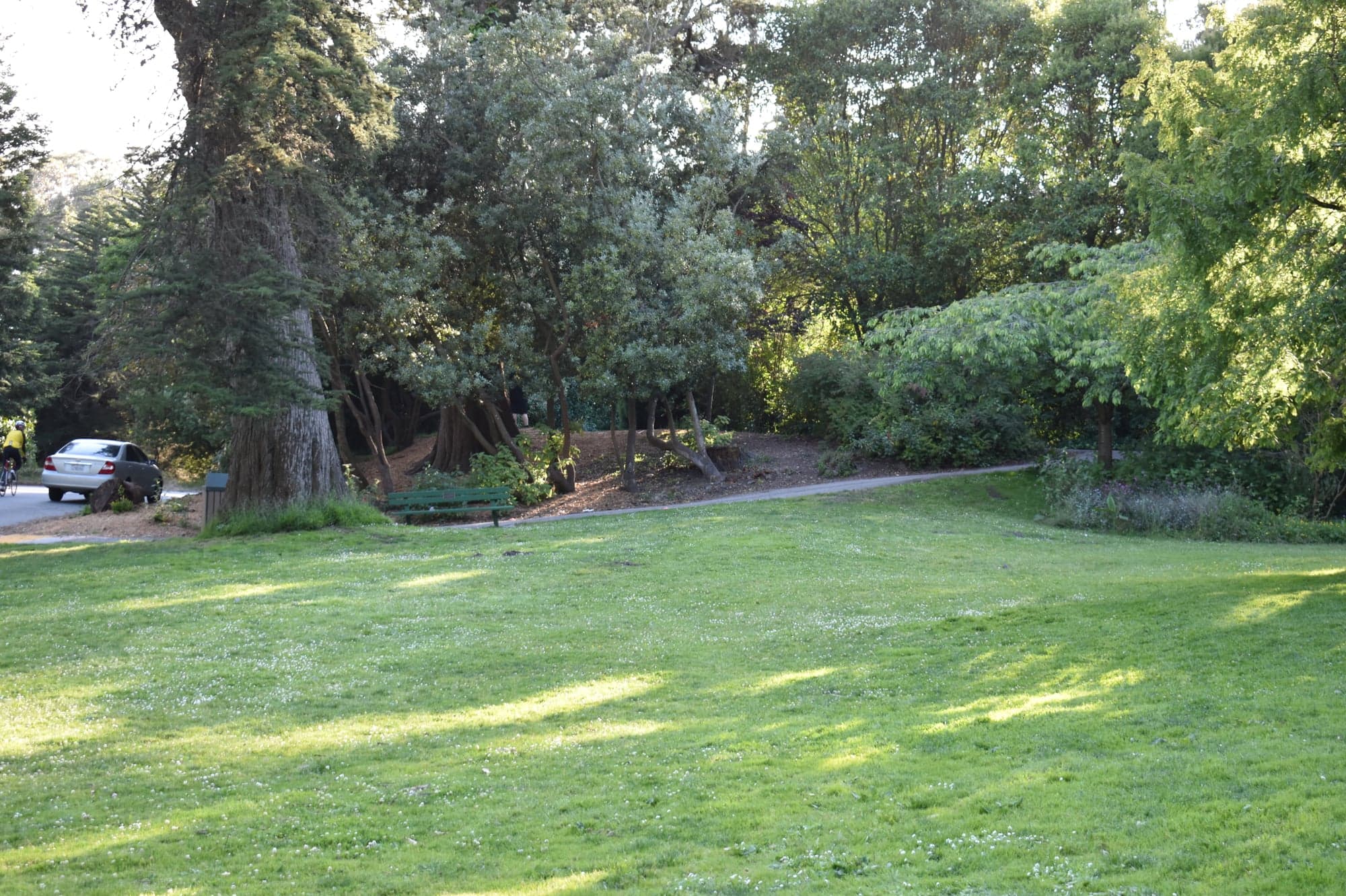 Get married at Golden Gate Park, San Francisco ceremony setting, California