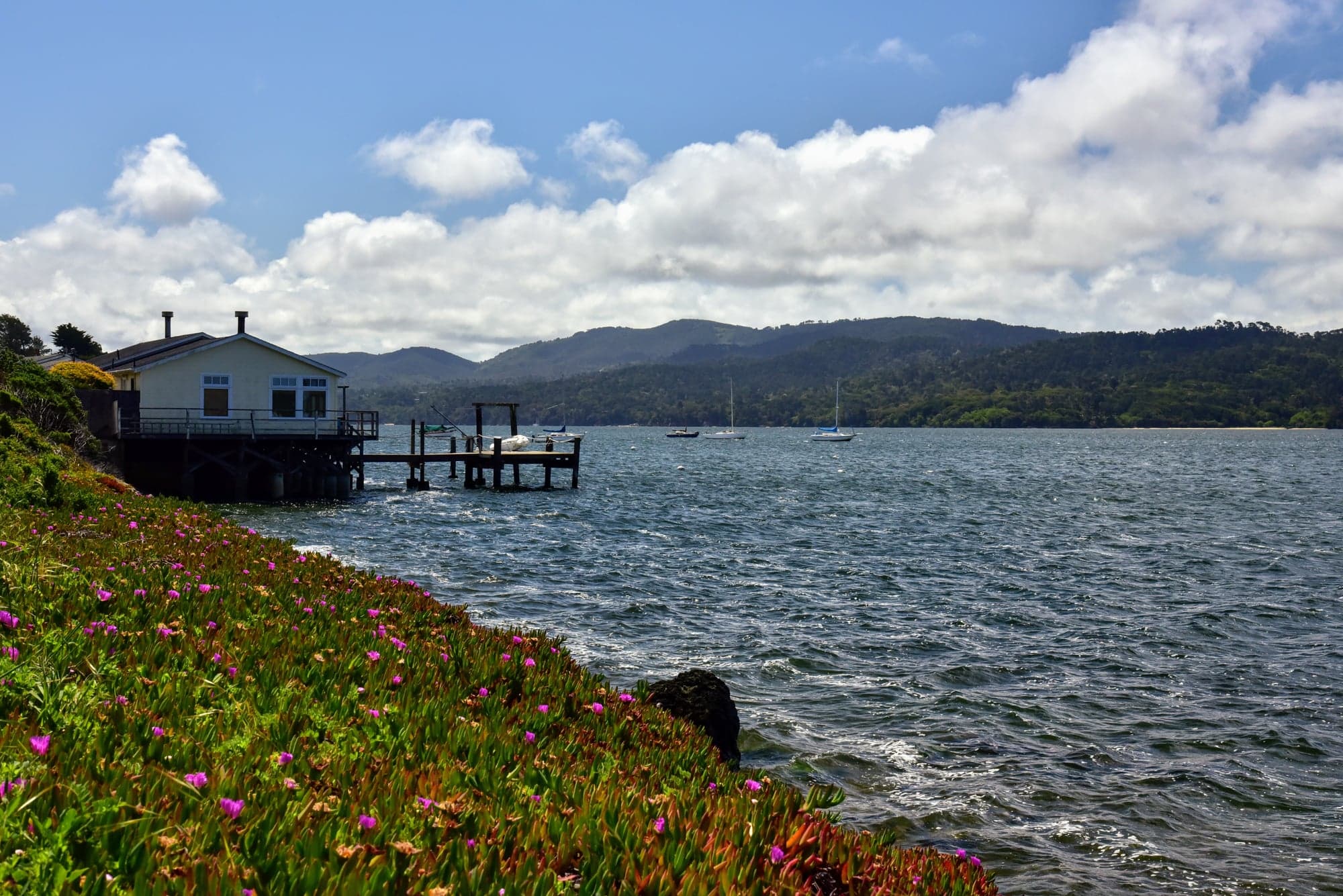 Get married at Tomales Bay State Park, Inverness ceremony setting, California