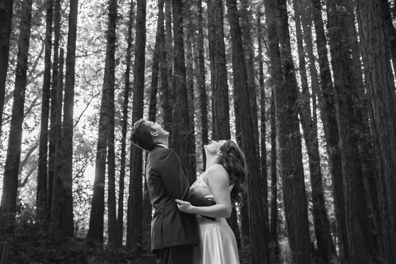 redwoods elopement at old mill park, mill valley, Haley & Taylor at Old Mill Park Amphitheater