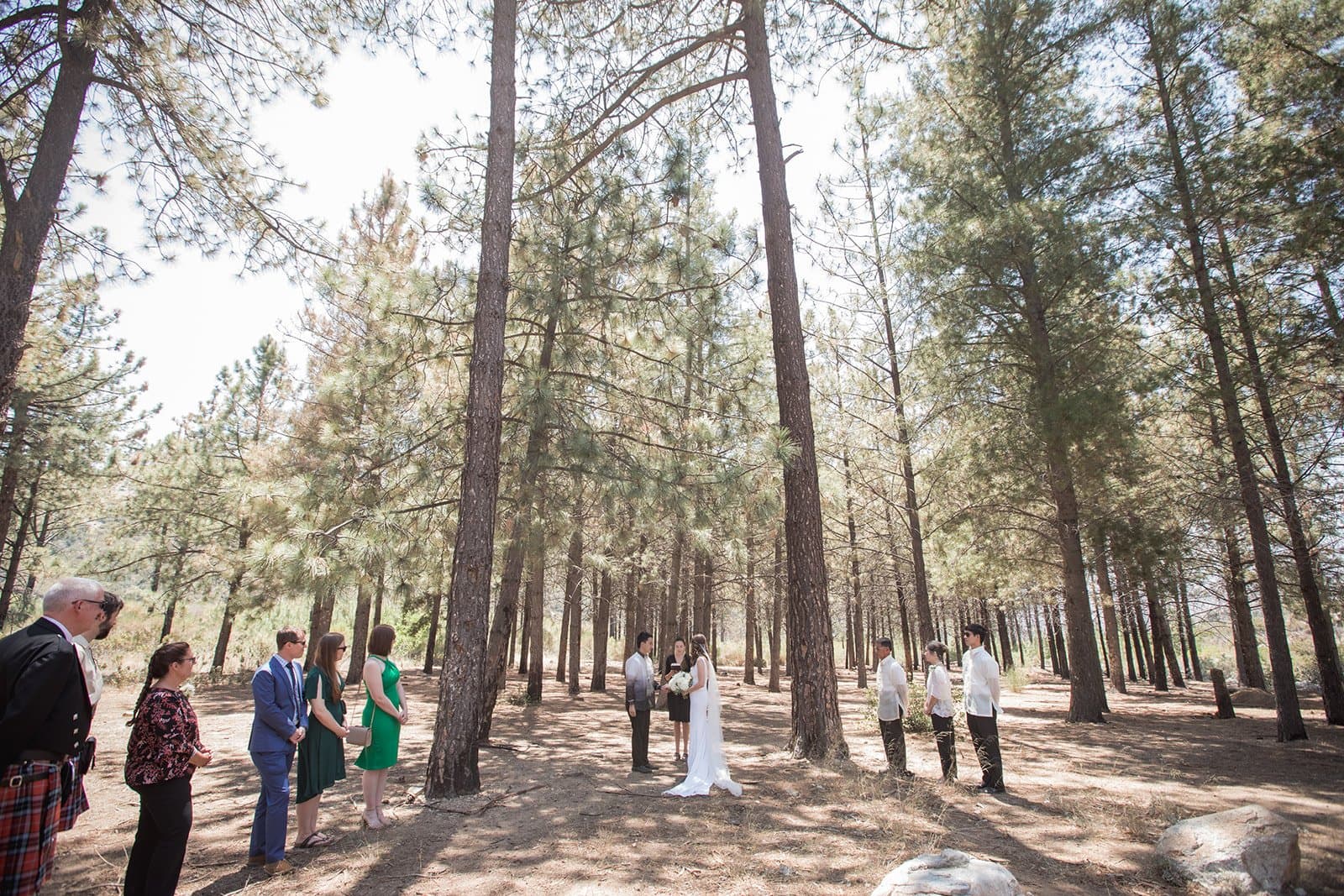 filipino-american micro wedding in the sequoias, Iona & Joseph at Pine Avenue