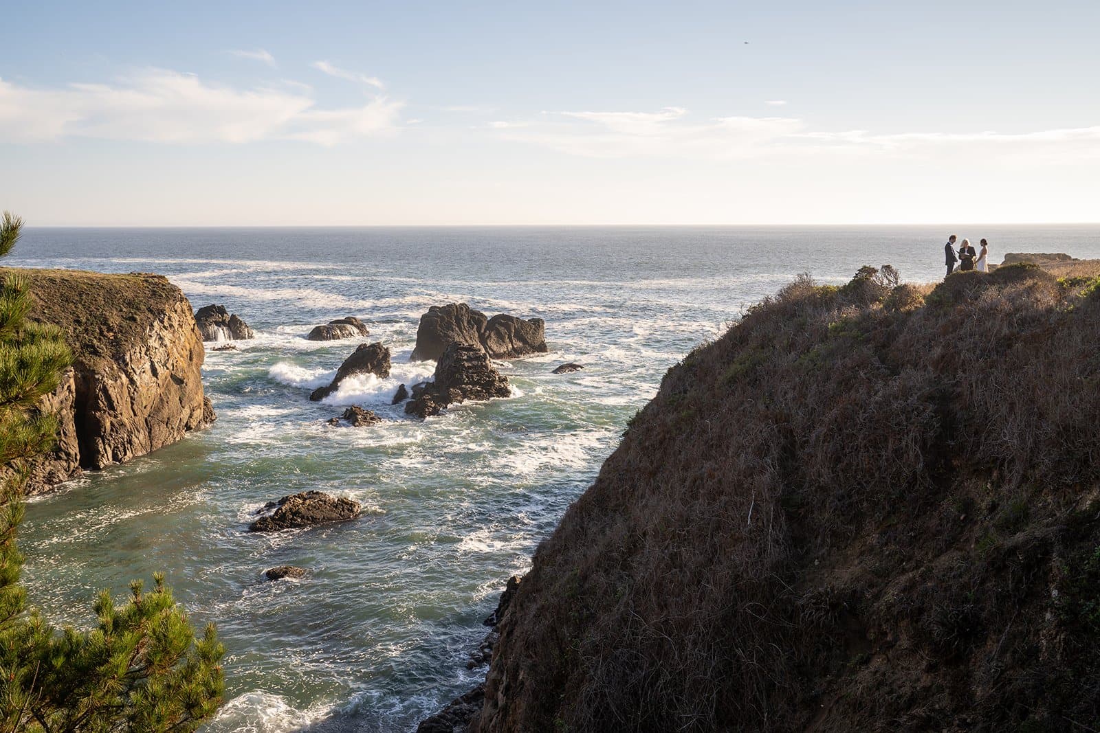 Venues, micro wedding vendor in California