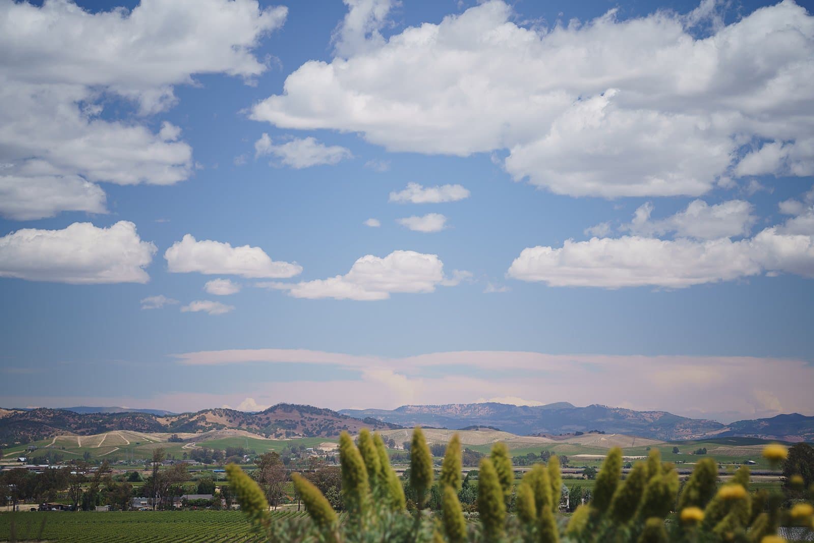 Venues, micro wedding vendor in California