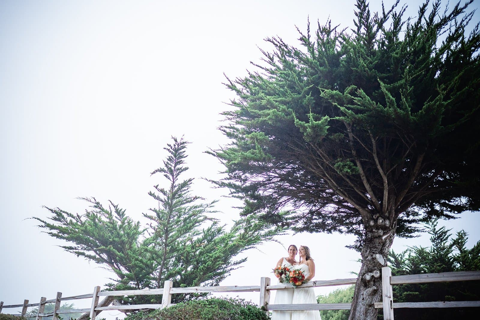 beachfront micro wedding on monterey bay, Renae & Emily at The Sanctuary Beach Resort — Lodge Lawn + Sun Bowl