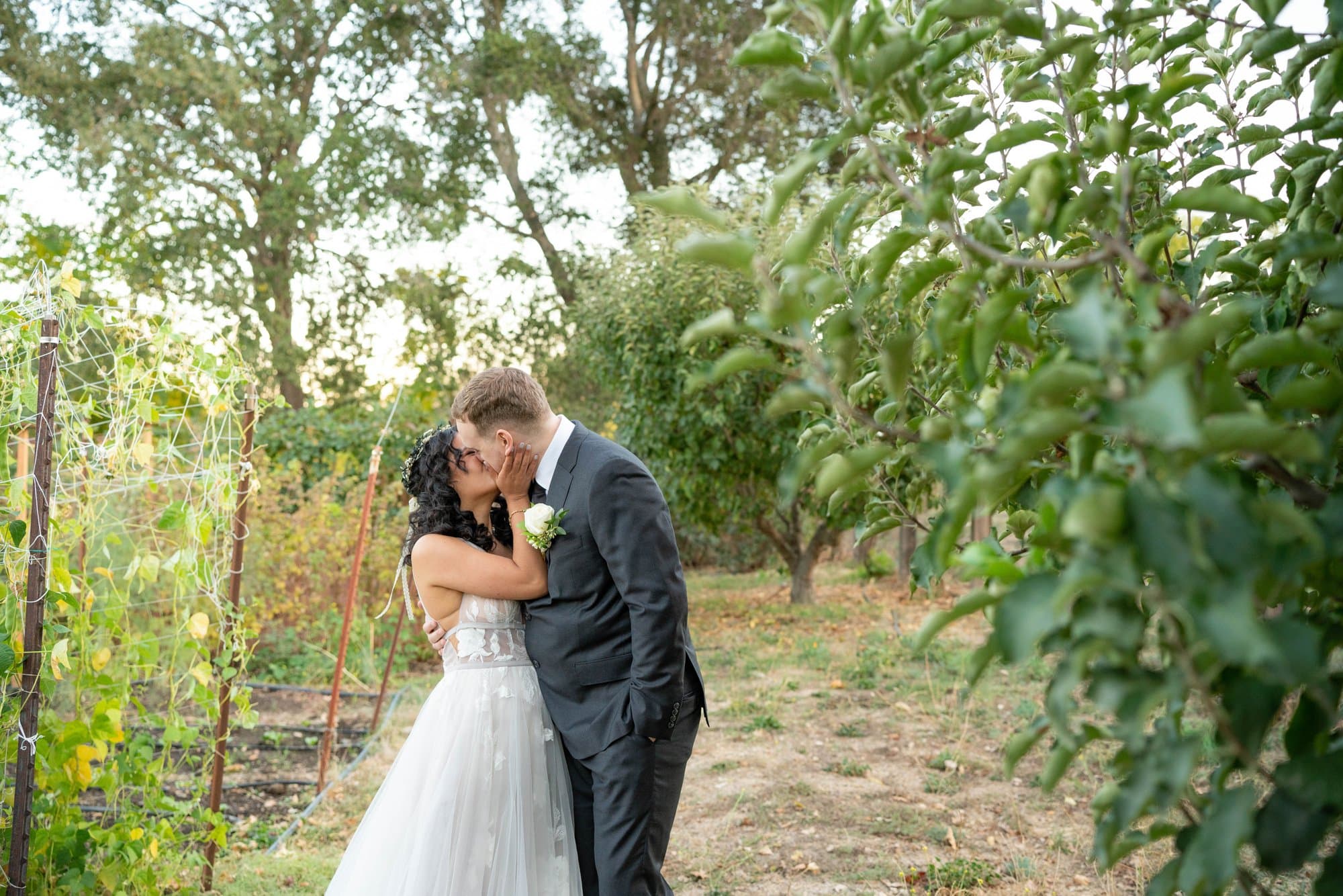Napa Valley micro wedding, intimate ceremony in Napa Valley, California