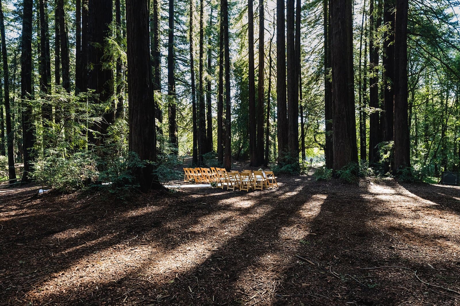 Venues, micro wedding vendor in East Bay
