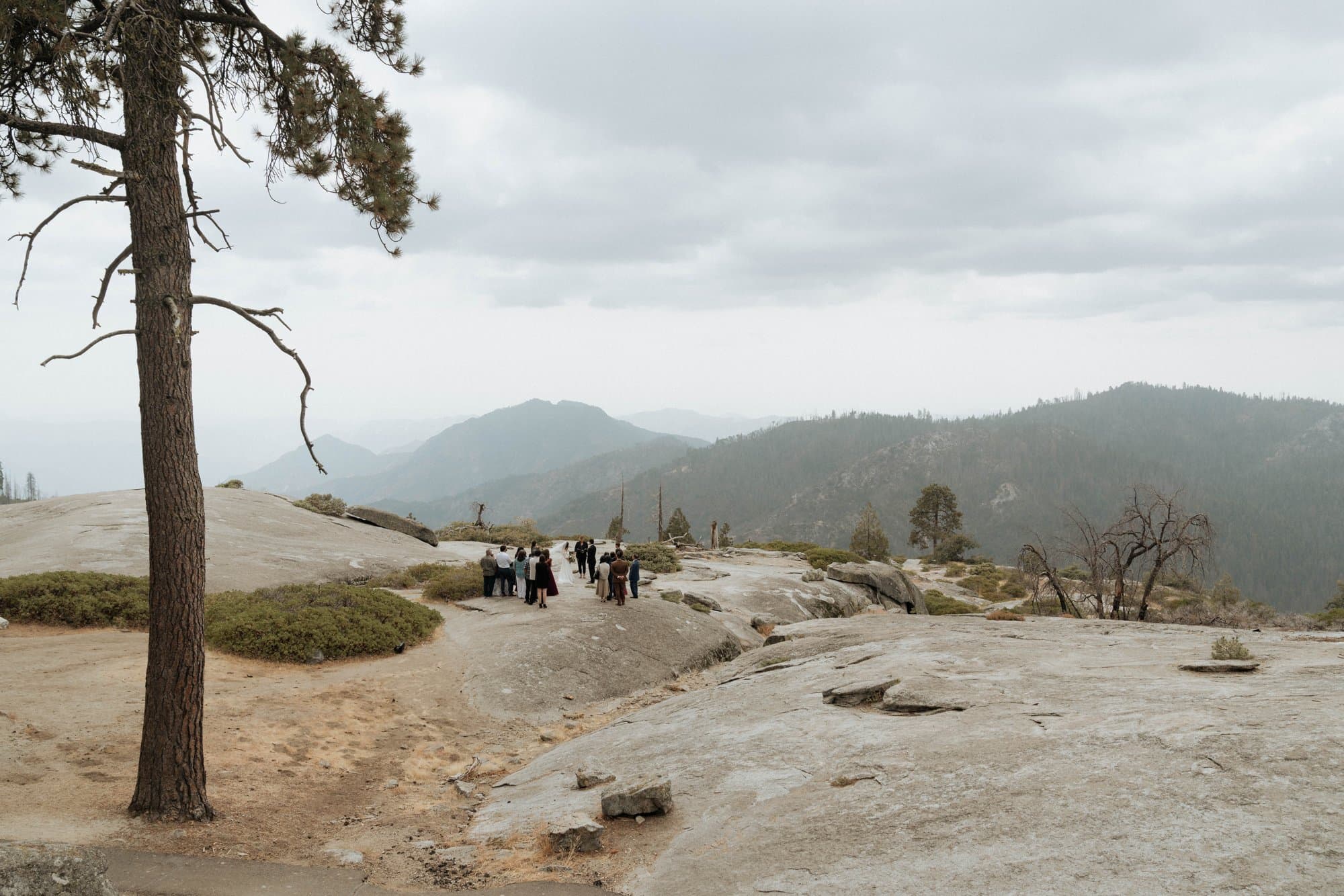 Venues, micro wedding vendor in Central Coast