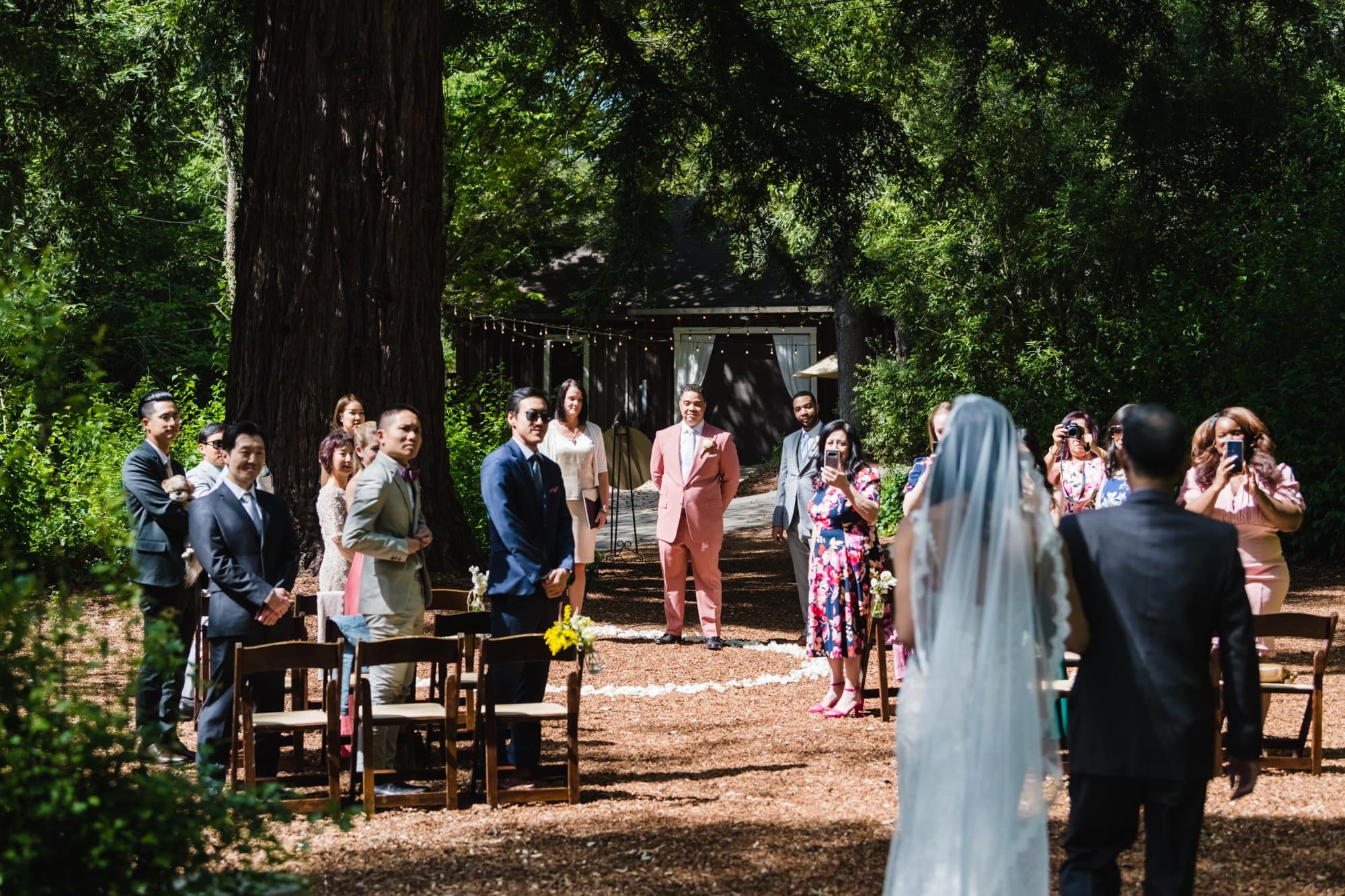 Santa Cruz micro wedding photo 7