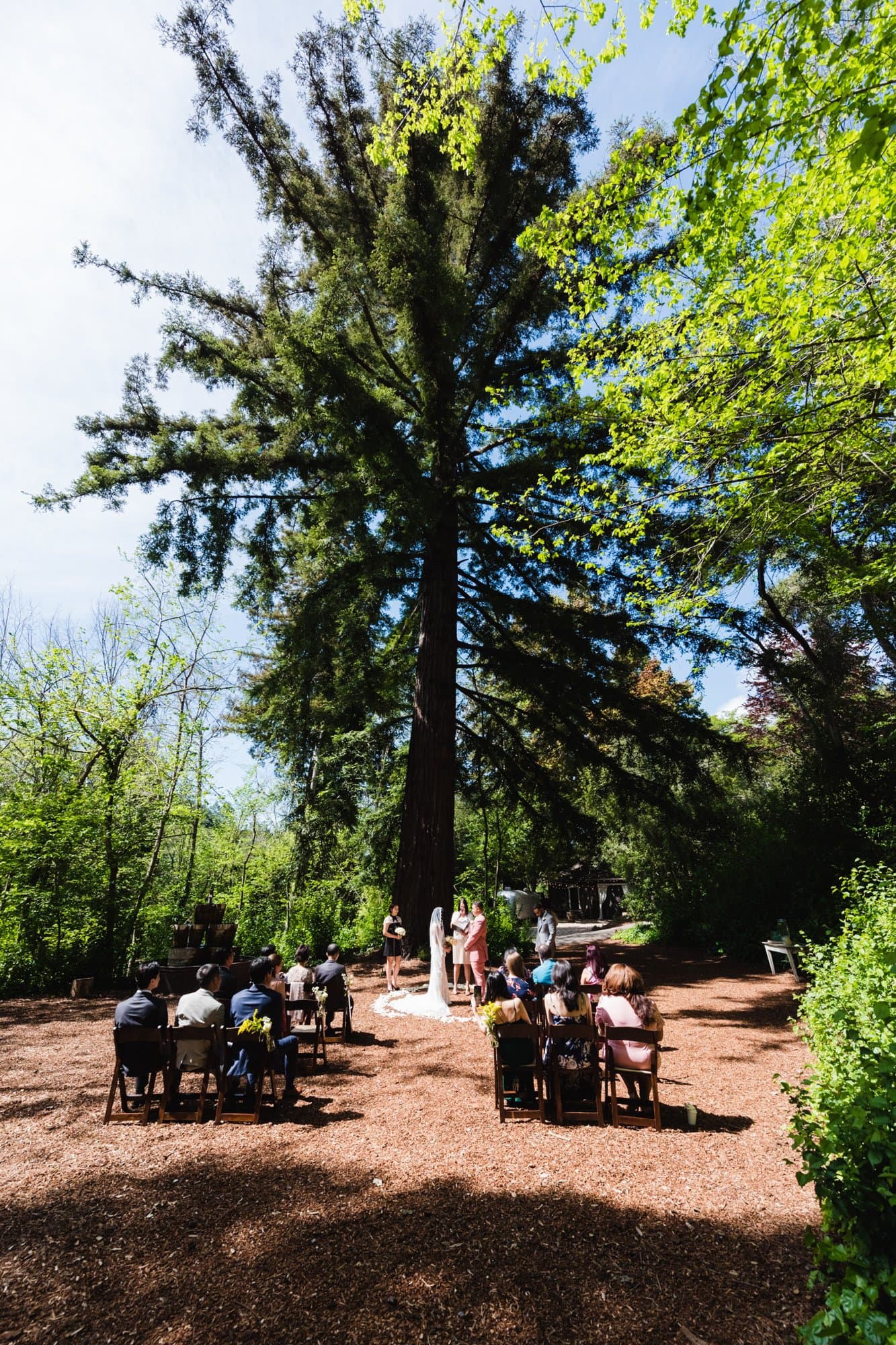 Santa Cruz micro wedding photo 6