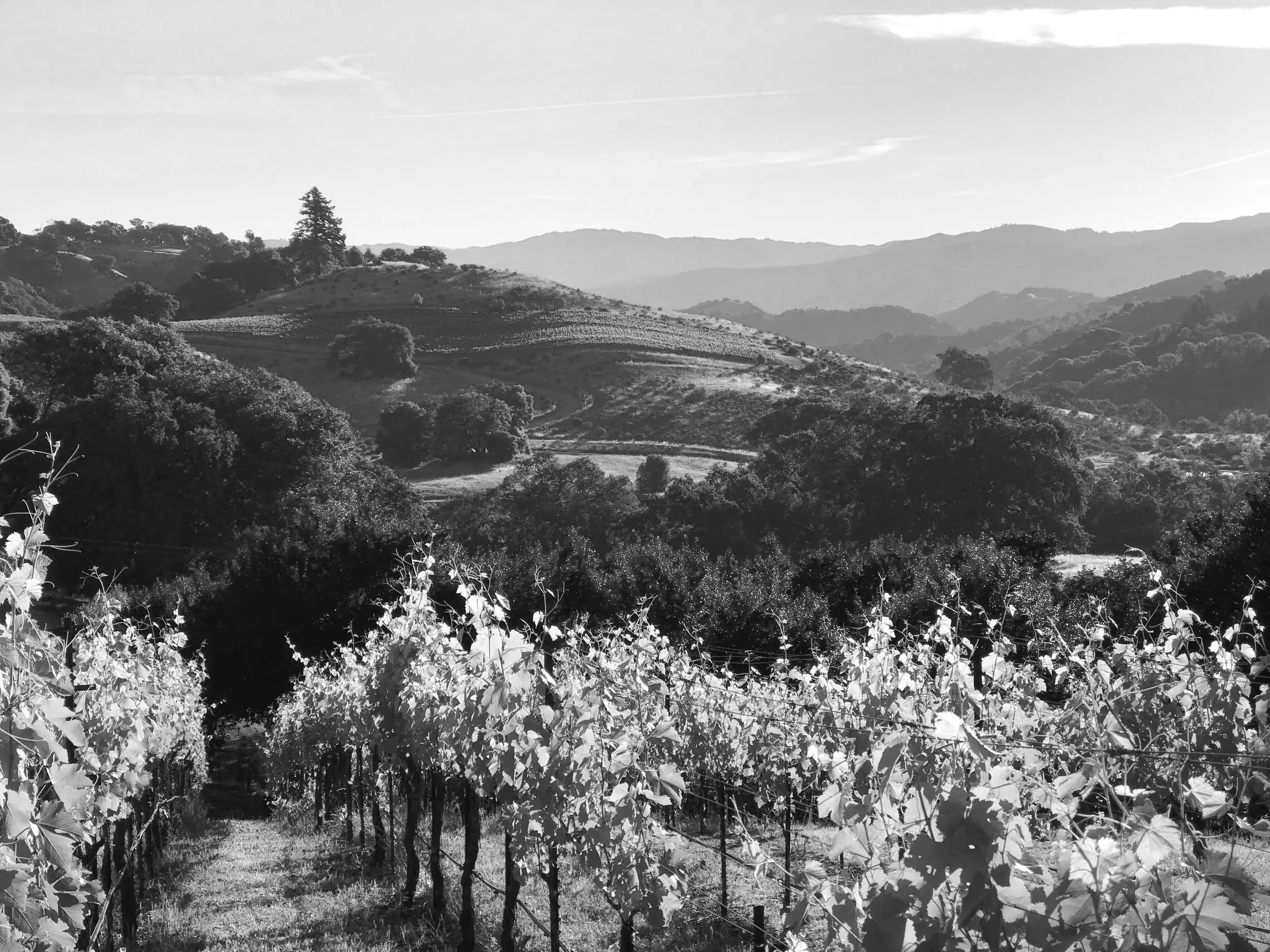 Highland Estate — hero photo