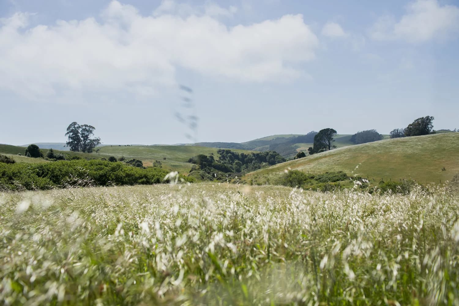 The Haven at Tomales — hero photo