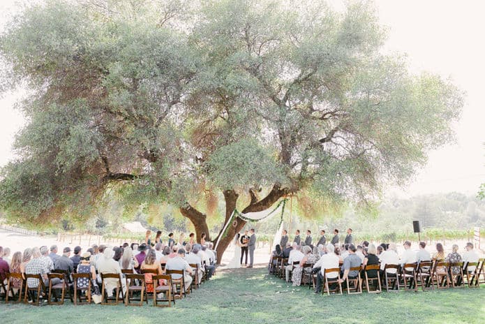 Mount Brow Vineyard — hero photo