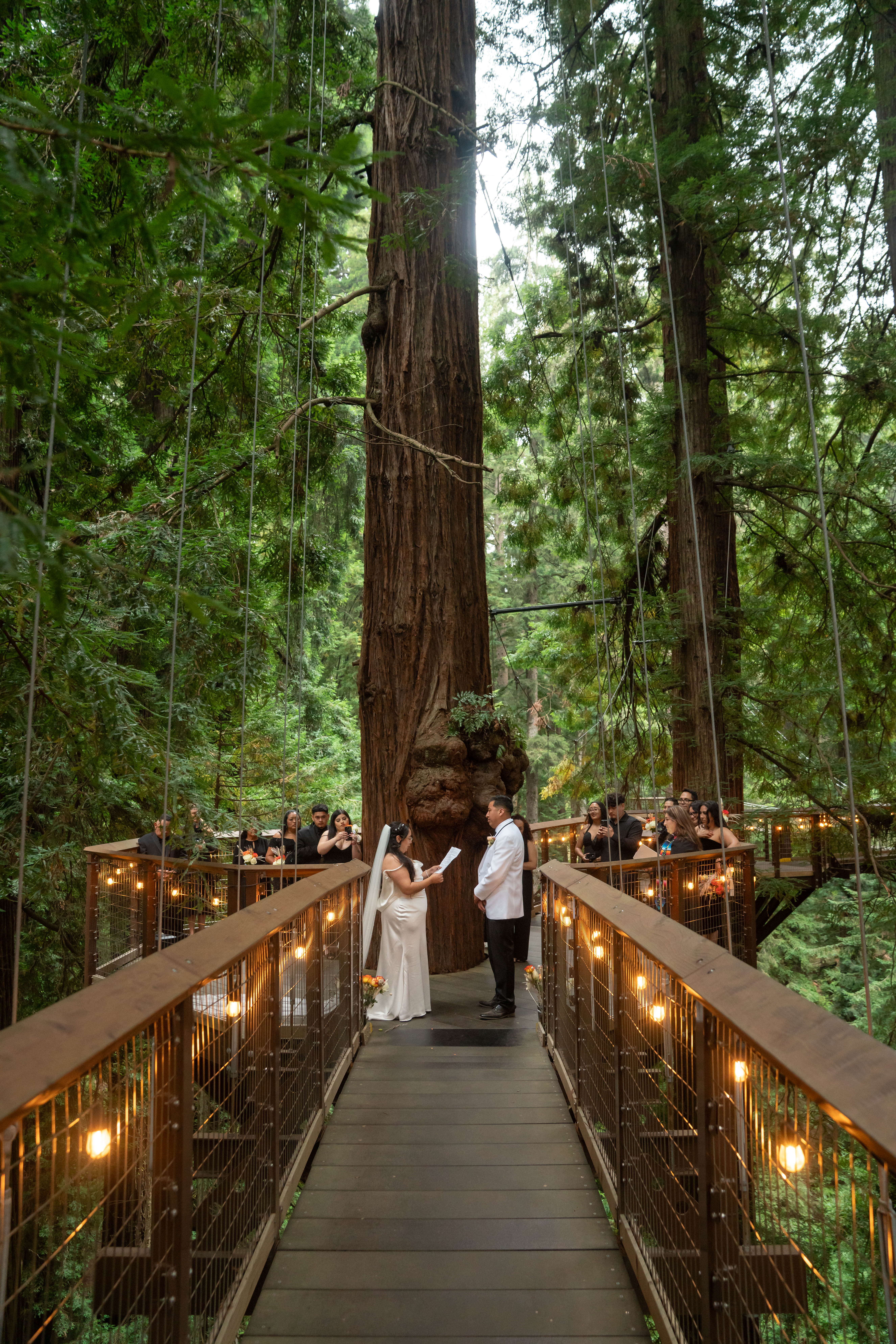 Wedding Cake — real OLW wedding