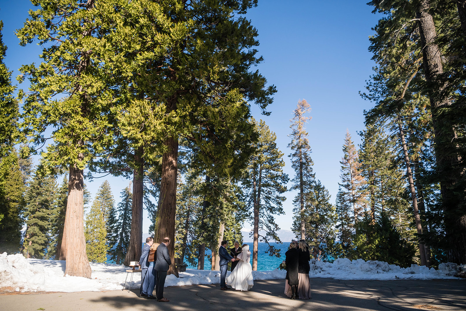 Lake Tahoe micro wedding moment